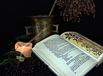 Vintage Herbal Medicine Book With Candle, Mortar, And Dried Herbs