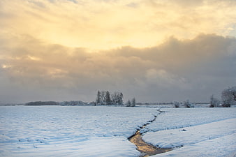 Serene Winter Landscape with Snowy Field and Golden Sky