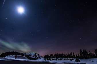 Starry Night Sky Over Snowy Mountain Forest Landscape