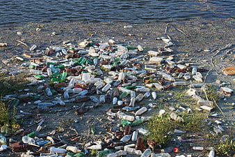 Plastic Bottle Pollution on Riverbank Shoreline