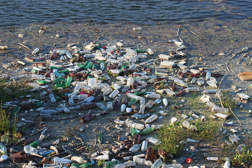 Plastic Bottle Pollution on Riverbank Shoreline
