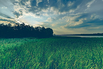Dramatic Green Meadow Landscape with Cloudy Sky