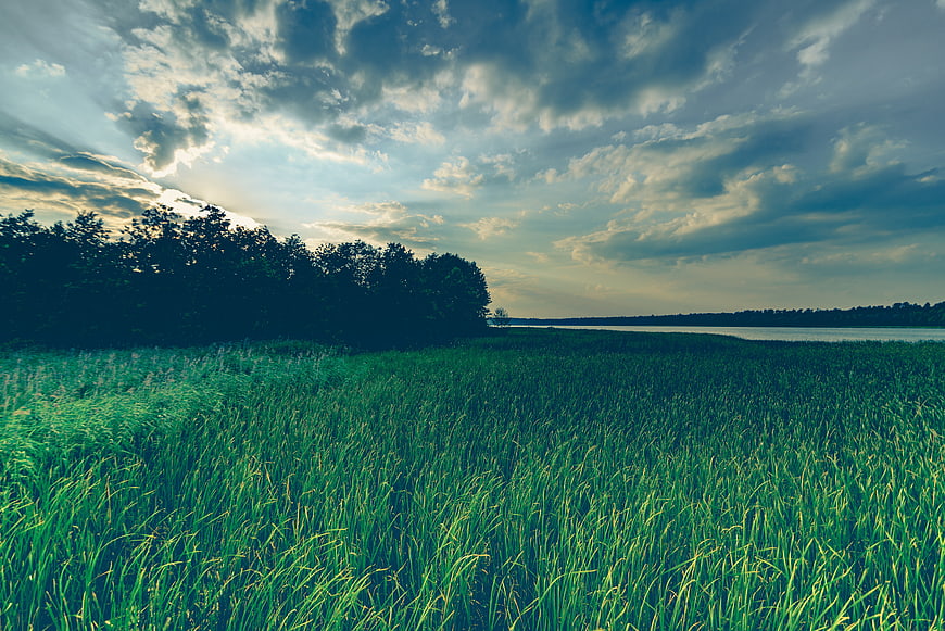 Dramatic Green Meadow Landscape with Cloudy Sky