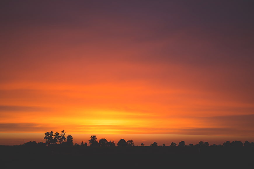 Vibrant Orange Sunset Sky with Silhouetted Tree Line