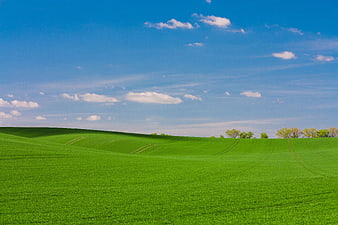 Vibrant Green Rolling Hills Under Blue Sky