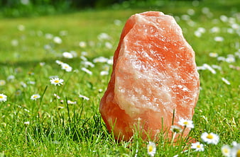 Pink Himalayan Salt Rock in Green Grass with Daisies