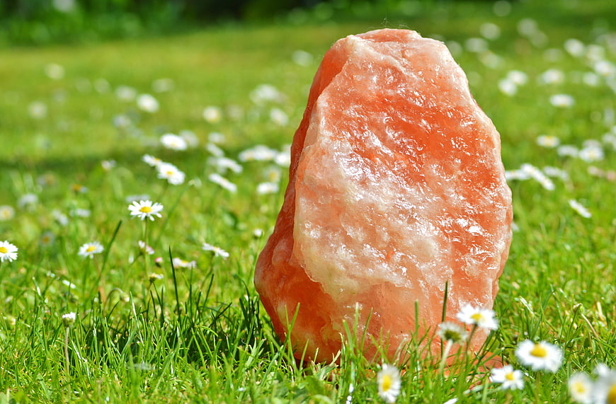 Pink Himalayan Salt Rock in Green Grass with Daisies