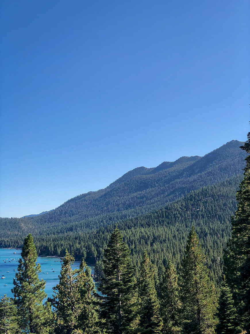 Scenic View of Lake Tahoe with Pine Forest and Mountains