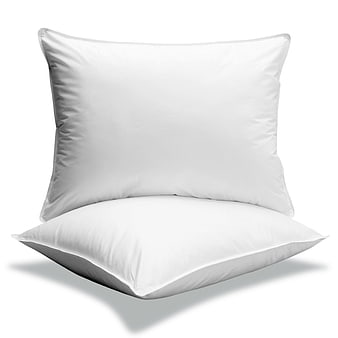 Two White Bed Pillows on White Background