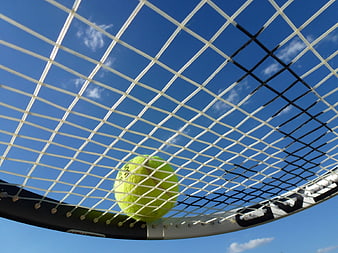Tennis ball on racket strings against blue sky
