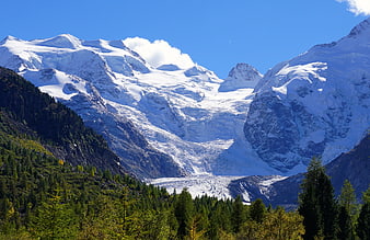 Majestic Snow-Capped Mountain Glacier with Forest Foreground