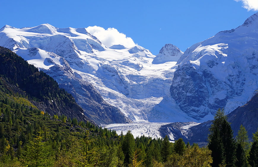 Majestic Snow-Capped Mountain Glacier with Forest Foreground