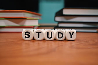 Study Dice on Wooden Desk with Books