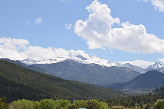 Snow-capped mountain range with pine forest and blue sky
