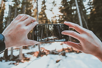 Hands holding smartphone taking photo of snowy forest