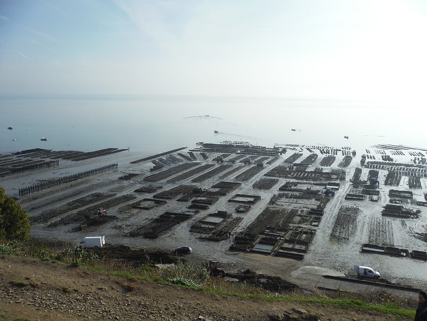 Aerial view of oyster farming beds on a tidal flat in Brittany