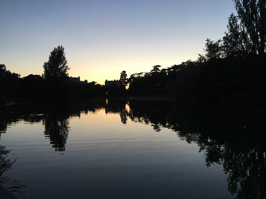 Serene Sunset Reflection on Calm Lake with Silhouetted Trees