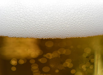 Close-up of cold beer foam and golden liquid