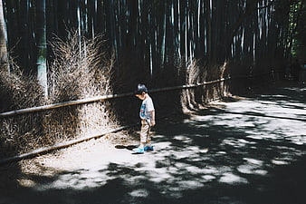Young boy walking alone on path in bamboo forest