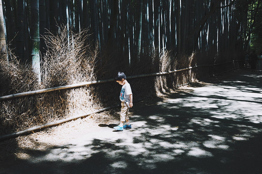 Young boy walking alone on path in bamboo forest