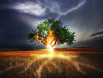 Dramatic Lightning Strike on Burning Tree in Stormy Field