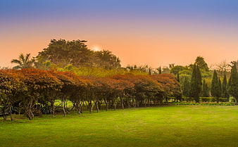 Serene park landscape with autumn trees and sunset sky
