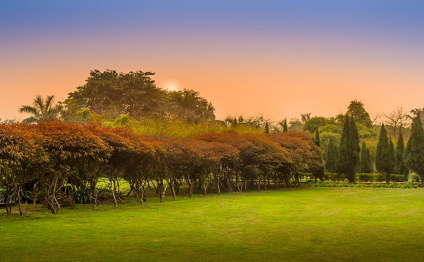 Serene park landscape with autumn trees and sunset sky