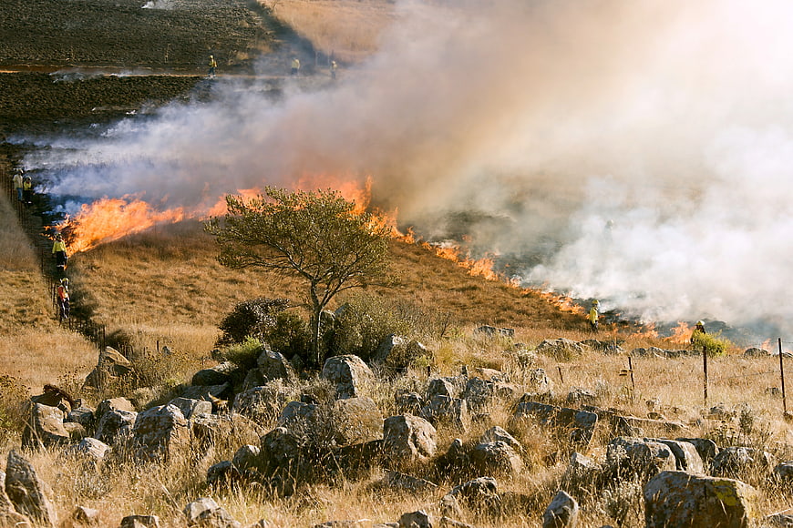 Controlled Grassland Fire with Firefighters and Smoke in Dry Landscape