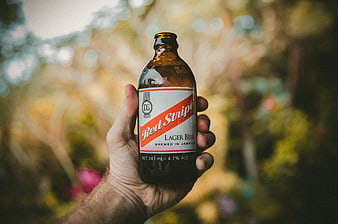 Hand holding Red Stripe lager beer bottle outdoors