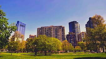 Boston Public Park With City Skyline And Green Trees