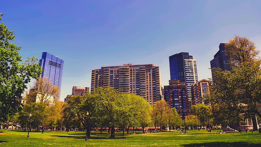 Boston Public Park With City Skyline And Green Trees