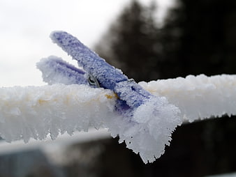 Blue clothespin covered in hoarfrost on a frozen clothesline