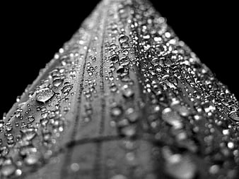 Macro black and white water droplets on textured surface