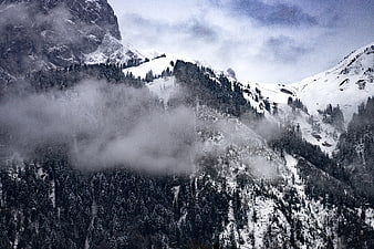 Snowy Mountain Landscape with Mist and Pine Forest