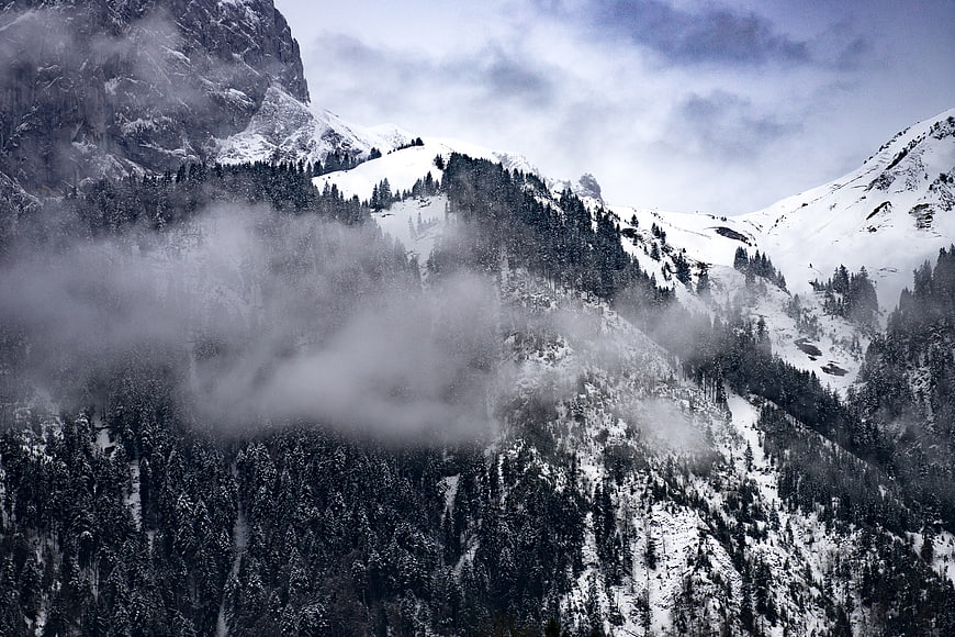 Snowy Mountain Landscape with Mist and Pine Forest
