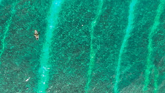 Aerial View of Surfer in Turquoise Ocean Water