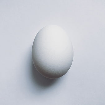 Minimalist White Egg on Clean White Background