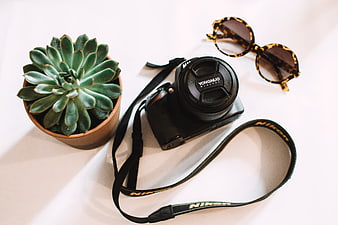 Flat lay of DSLR camera, sunglasses, and succulent plant