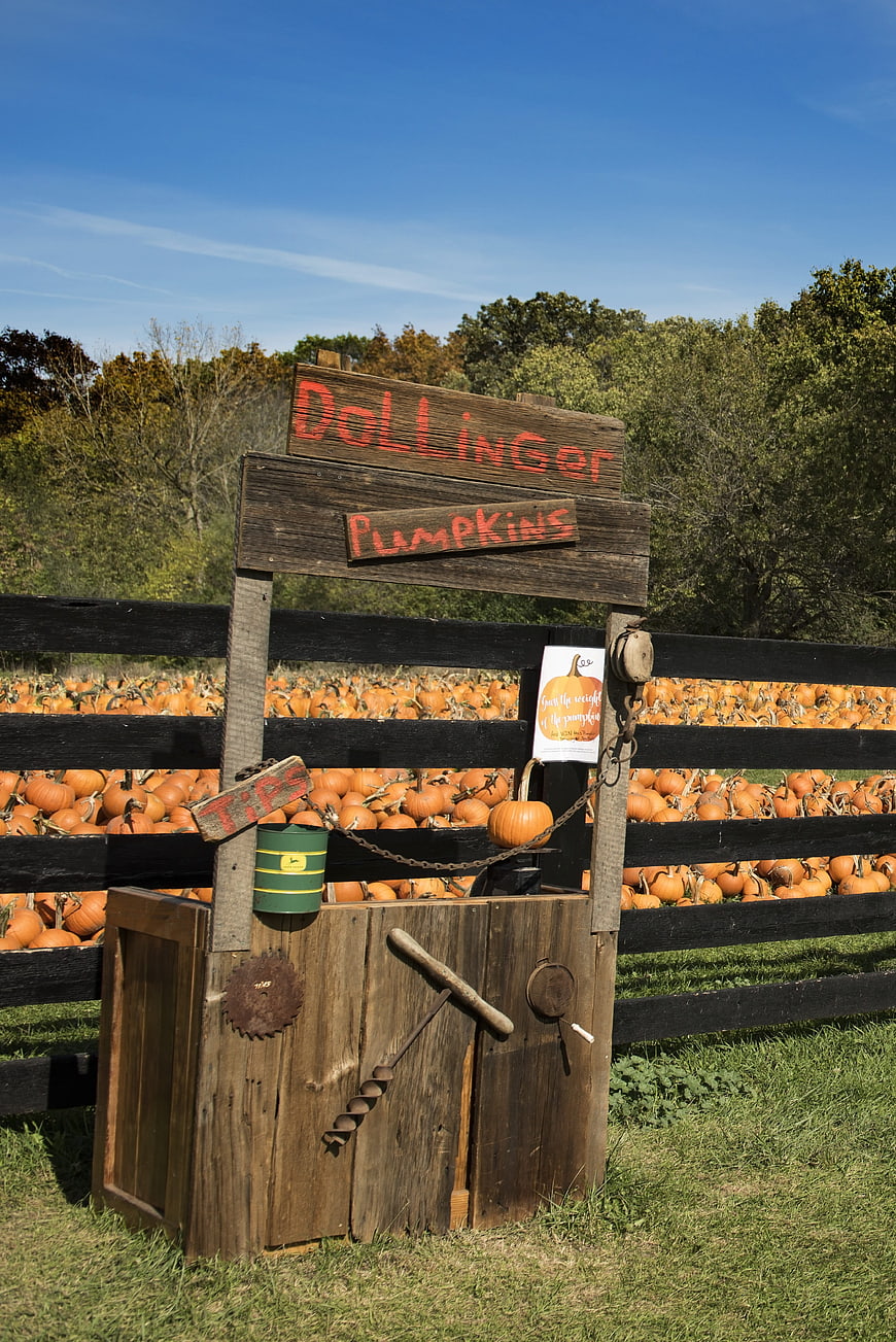 Rustic wooden sign at Dollinger Pumpkins farm entrance
