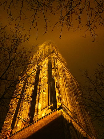 Martinitoren Groningen illuminated at night through bare branches