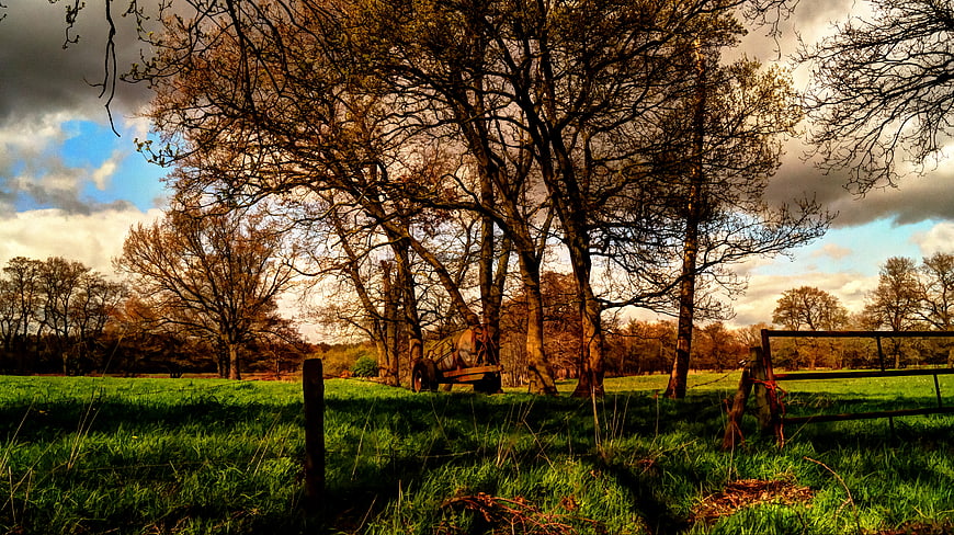 Dramatic HDR Landscape of Green Meadow with Trees and Cloudy Sky