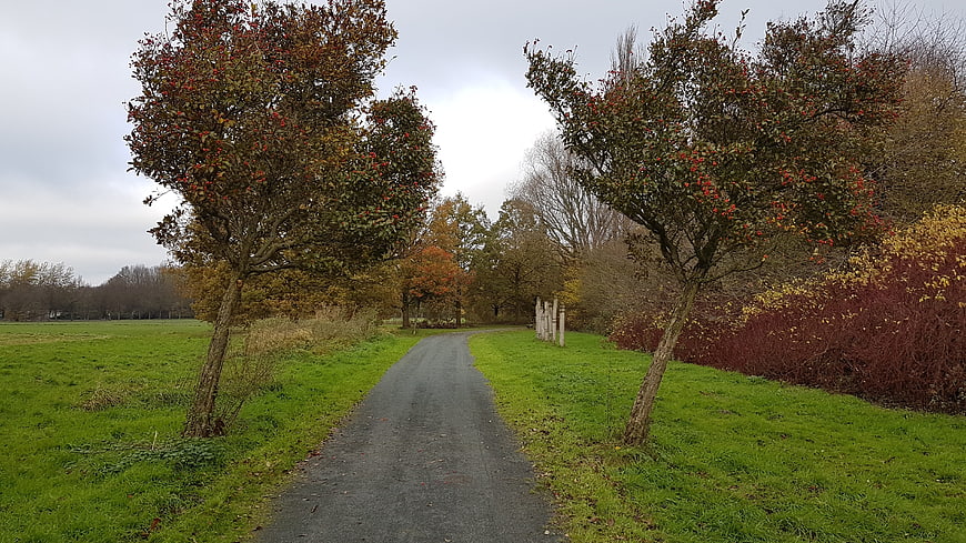 Paved path through autumn park with hawthorn trees