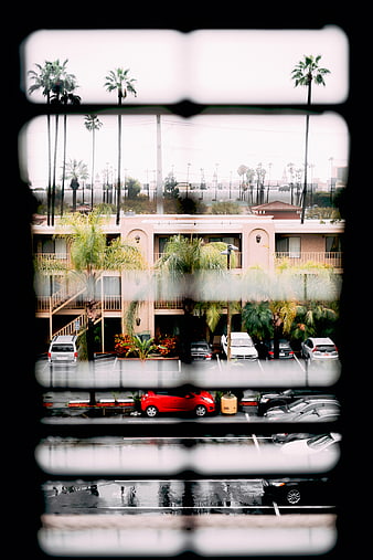 Rainy motel view through window with palm trees and cars