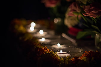 Row of lit tea light candles with marigold flowers in dark setting