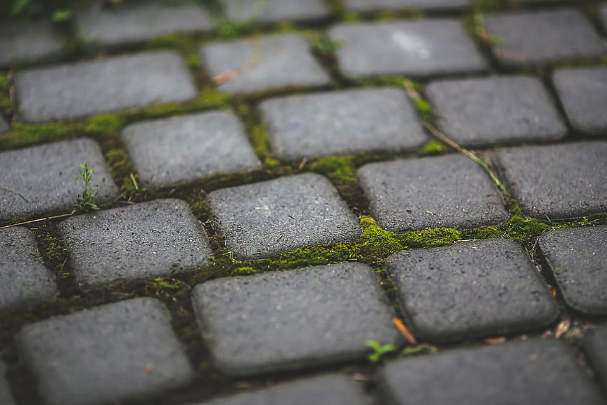 Close-up of mossy cobblestone pavement texture