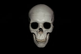 White Human Skull Isolated on Black Background