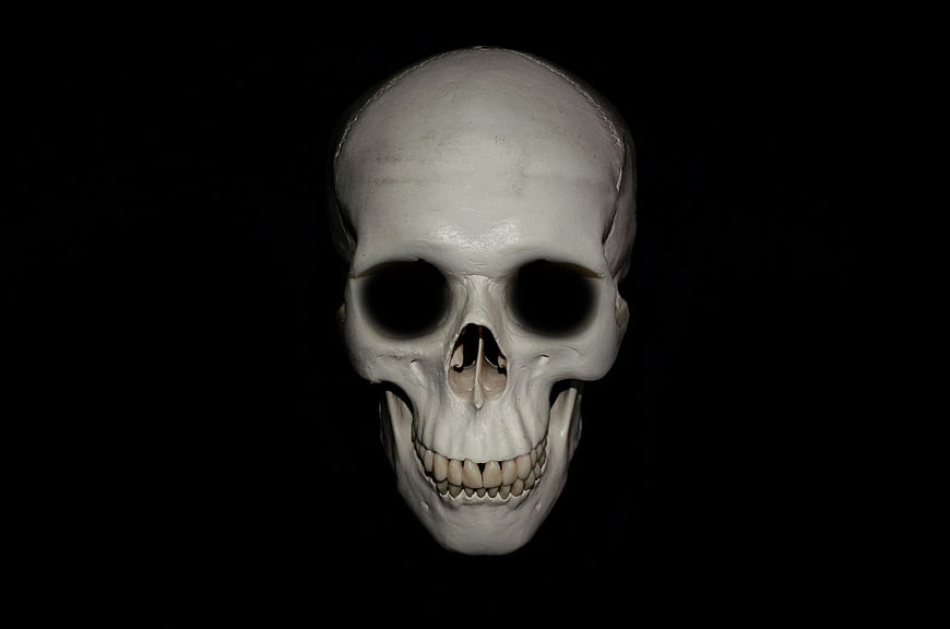 White Human Skull Isolated on Black Background