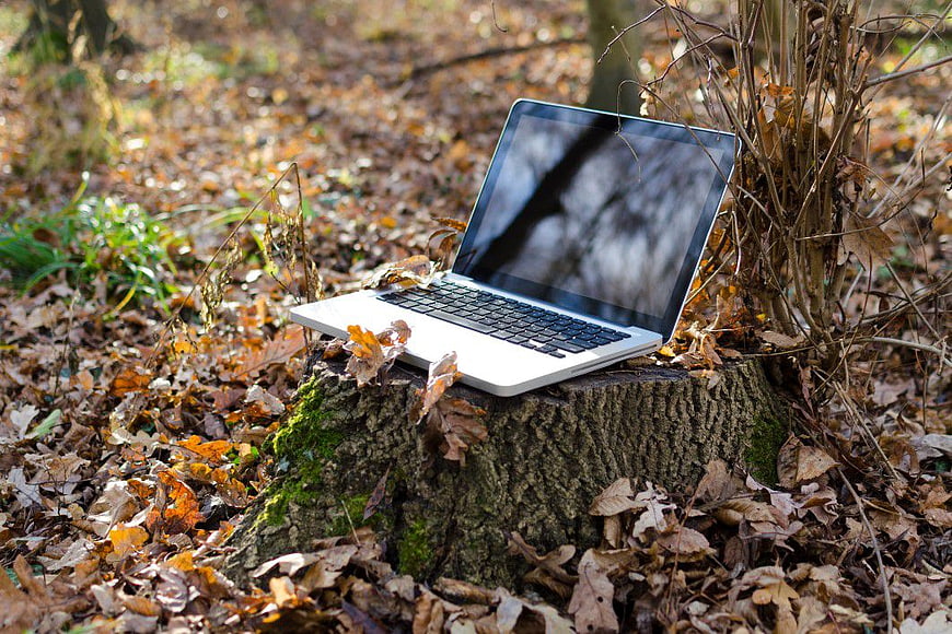 Silver Laptop on Tree Stump in Autumn Forest