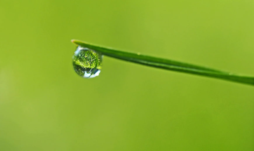 Macro water droplet on green grass blade