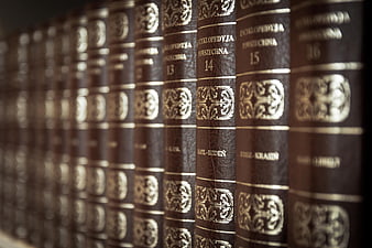 Vintage Encyclopedia Books on Shelf with Gold Lettering